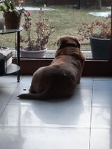 Zdjęcie użytkownika Jechanawariata