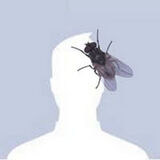 Фотография пользователя osobnik