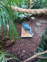 Foto utilizatorului Alvaro12121212