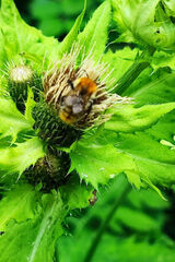 Photos NIEKWESTIONOWANY90