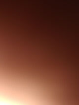 Benutzerfoto minionekben