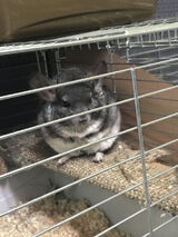 Photos przyjaciolkidupa67