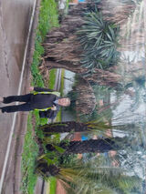 Фото користувача Grzegorz0970