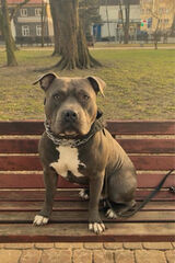 Zdjęcie użytkownika bartonkrystian56