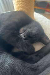 Zdjęcie użytkownika errmatic