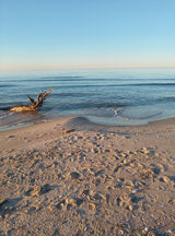 Photos sebastianpuszcze56