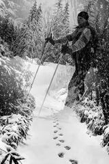 Zdjęcie użytkownika arendarskimariusz