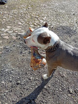 Benutzerfoto Janszew29