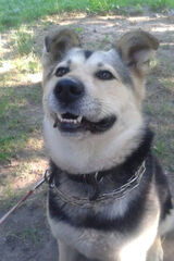 Фотография пользователя SzyszkoP