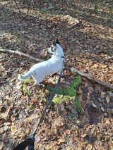 Zdjęcie użytkownika Daniel12