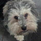 Zdjęcie użytkownika swaczyna19994