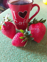 Zdjęcie użytkownika Stokrotka0912