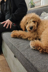 Foto pengguna Simi2000