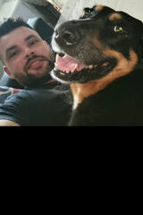 Foto utilizatorului karolofe