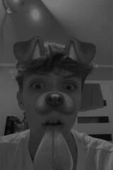 Fotos pawelekpawel4941