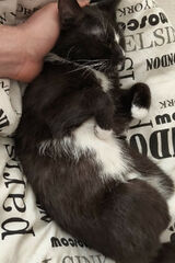 Zdjęcie użytkownika AdamHi