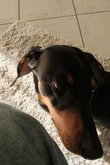 Zdjęcie użytkownika oleksikwinnicki