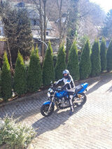 Фото користувача EIVEL