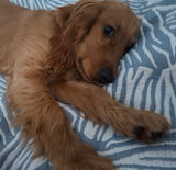 Benutzerfoto zimnykefir