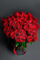 Zdjęcie użytkownika TomekK