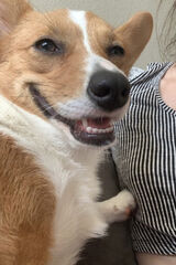 Zdjęcie użytkownika Arkadiusz5