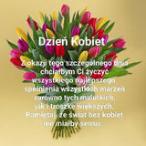 Fotka uživatele kondik29