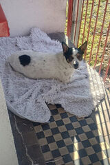 Zdjęcie użytkownika rafalkeil79