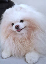 Zdjęcie użytkownika MartaMagda7