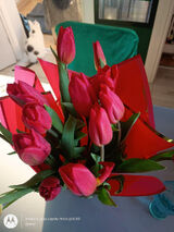 Zdjęcie użytkownika annap2208