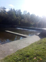 Zdjęcie użytkownika wisar69