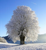 Zdjęcie użytkownika tomeksuper