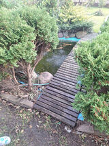 Photos DragonDragon1993