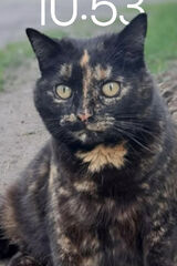 Zdjęcie użytkownika krolagniesia