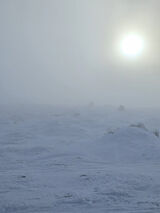 Foto pengguna Bartas3k