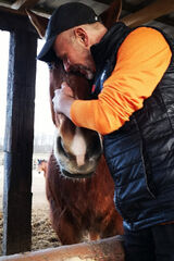 Zdjęcie użytkownika izdebskiroman282