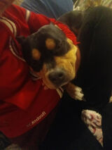 Benutzerfoto omelalara2