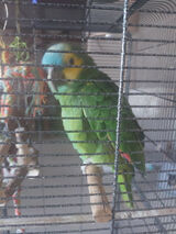 Фото користувача osjar123