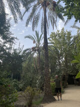 Фото користувача Wlwwlw