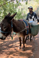 Benutzerfoto Skuty41