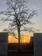 Foto pengguna Driver6994