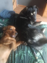 Фотография пользователя Agnieszka130396