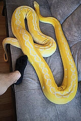 Foto pengguna TakiSobieJaaa