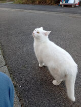 Фото користувача domurad811981