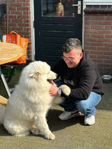 Fotos BratBratuBratem