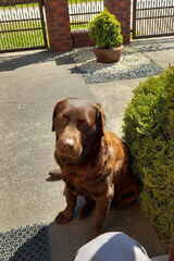 Fotka uživatele piotr2026x