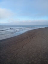 Foto pengguna Kubhot