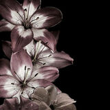 Zdjęcie użytkownika olciak222