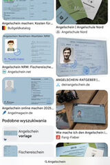 Zdjęcie użytkownika Borntofight17