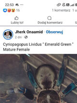 Фотография пользователя tomaszek0897kr