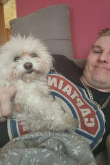 Фотография пользователя BarcaFans94